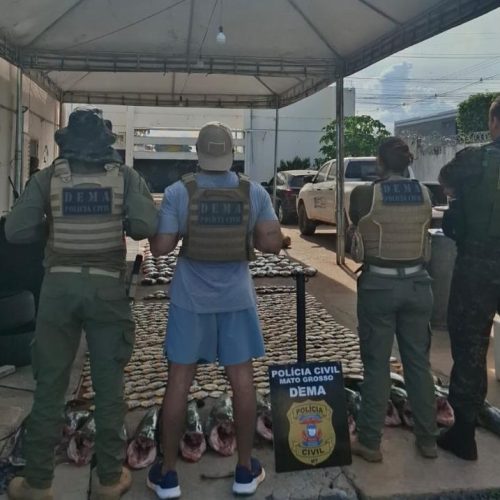 Operação desmonta esquema de pesca predatória no Rio Cuiabá e apreende mais de 900 quilos de pescado irregular