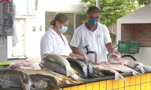 Peixe a preço único movimenta Cuiabá: Feira Peixe Santo começa com 13 pontos de venda