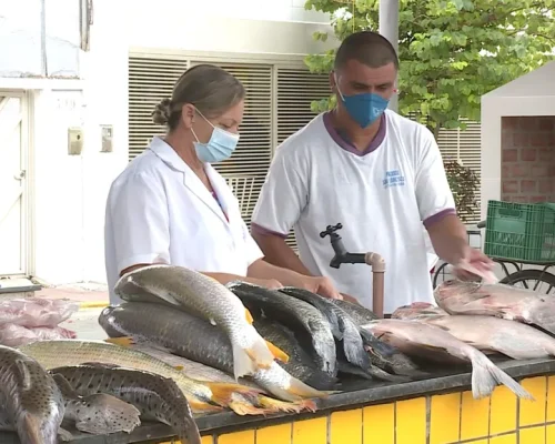 Peixe a preço único movimenta Cuiabá: Feira Peixe Santo começa com 13 pontos de venda