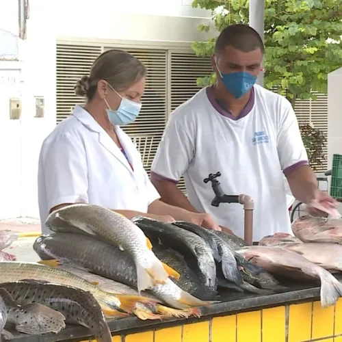 Peixe a preço único movimenta Cuiabá: Feira Peixe Santo começa com 13 pontos de venda