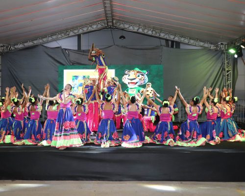 Siriri encanta público na FIT Pantanal e fortalece identidade cultural de jovens de Várzea Grande