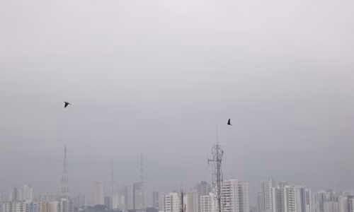 tempo frio em mt 