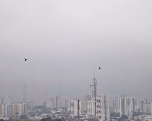 tempo frio em mt 