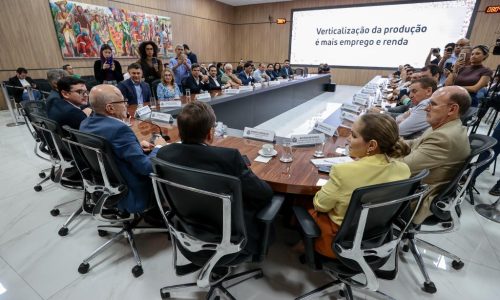 Mato Grosso lança programa para transformar algodão em indústria e ampliar geração de empregos
