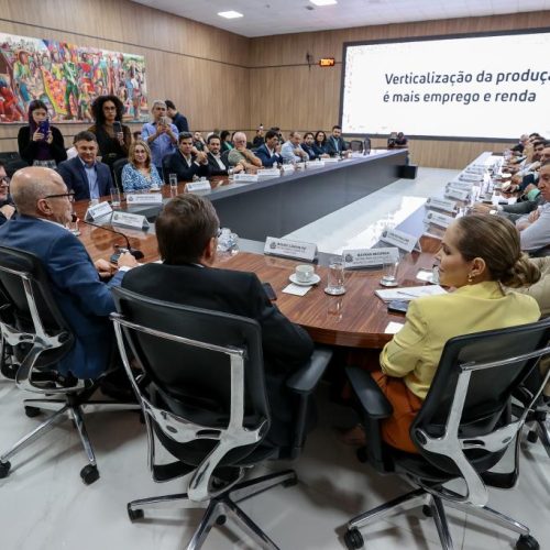 Mato Grosso lança programa para transformar algodão em indústria e ampliar geração de empregos