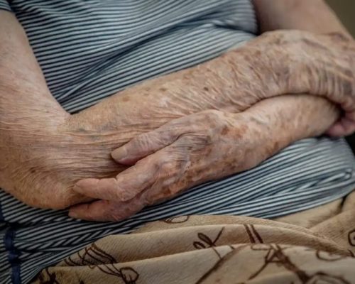 Câmara aprova projeto de Ilde Taques que cria o Centro de Amparo ao Idoso